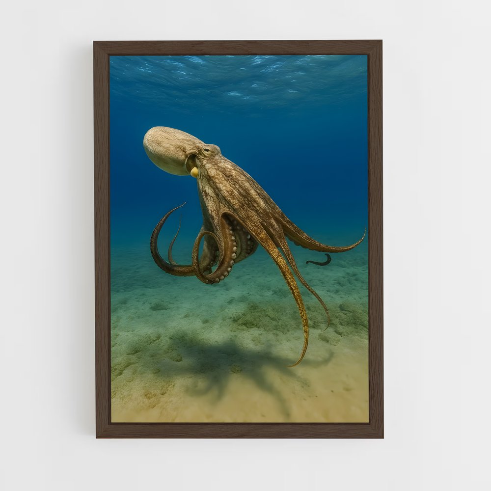 ap-octopus-9 cadre Bois foncé