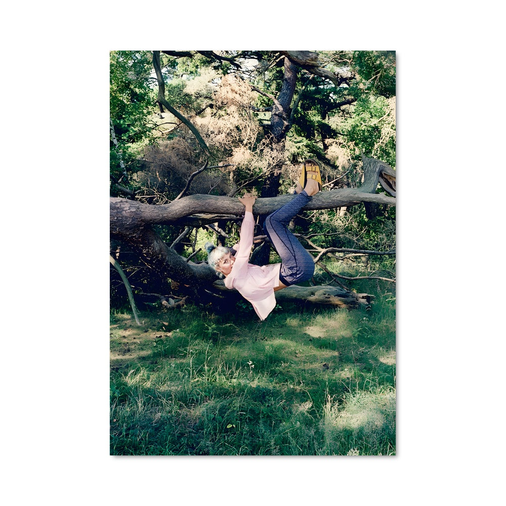 Poster Rêverie sur Branche