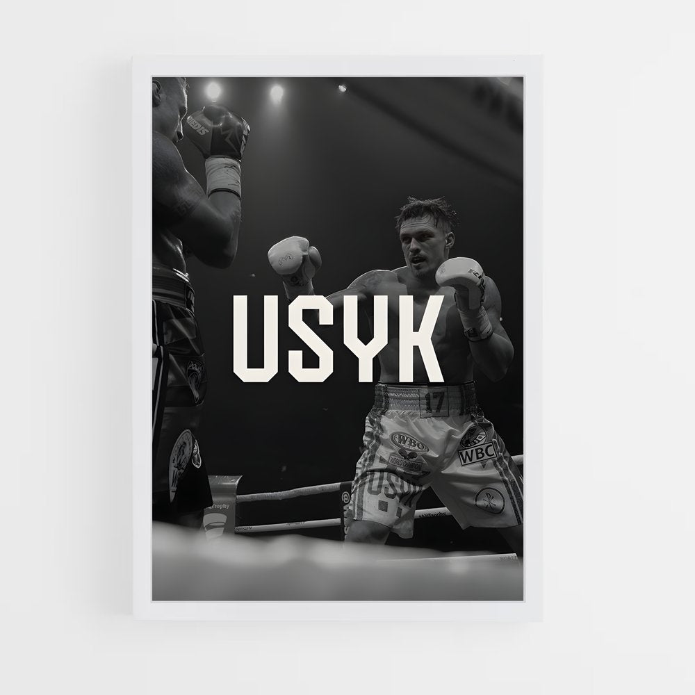 ap-oleksandr usyk-4 cadre Blanc