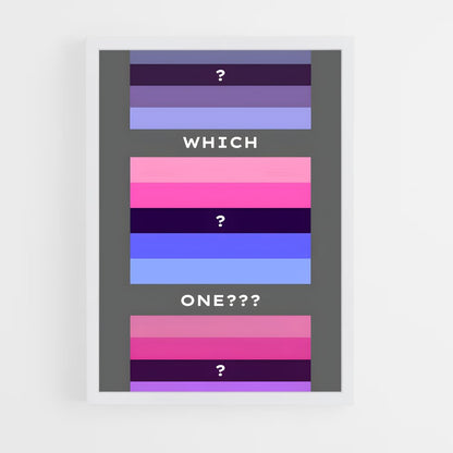ap-omnisexual flag-2 cadre Blanc