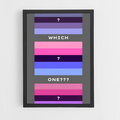 ap-omnisexual flag-2 cadre Noir