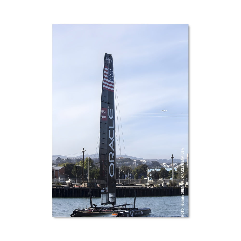 Poster Voile Envolée