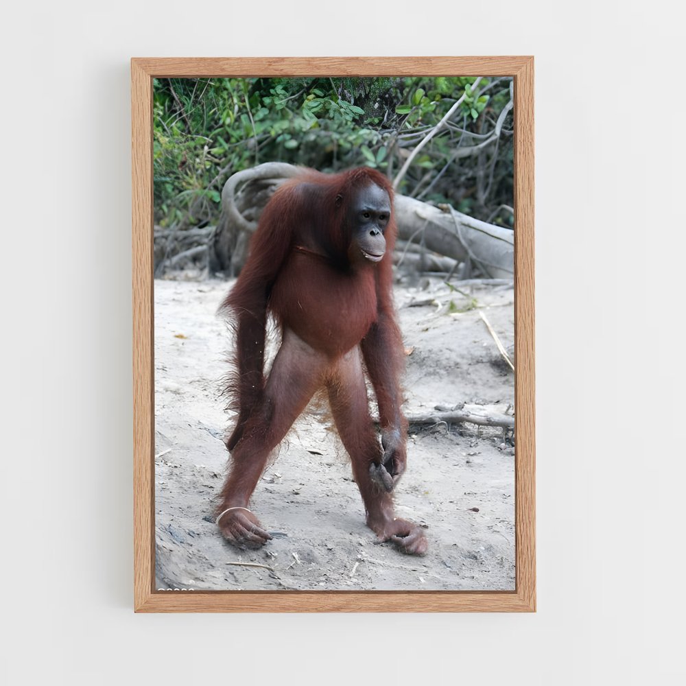 ap-orangutan-2 cadre Bois clair