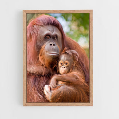 ap-orangutan-3 cadre Bois clair