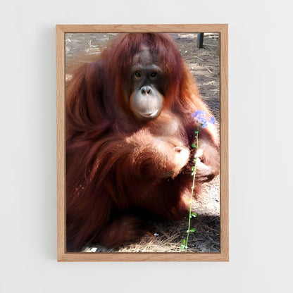 ap-orangutan-5 cadre Bois clair