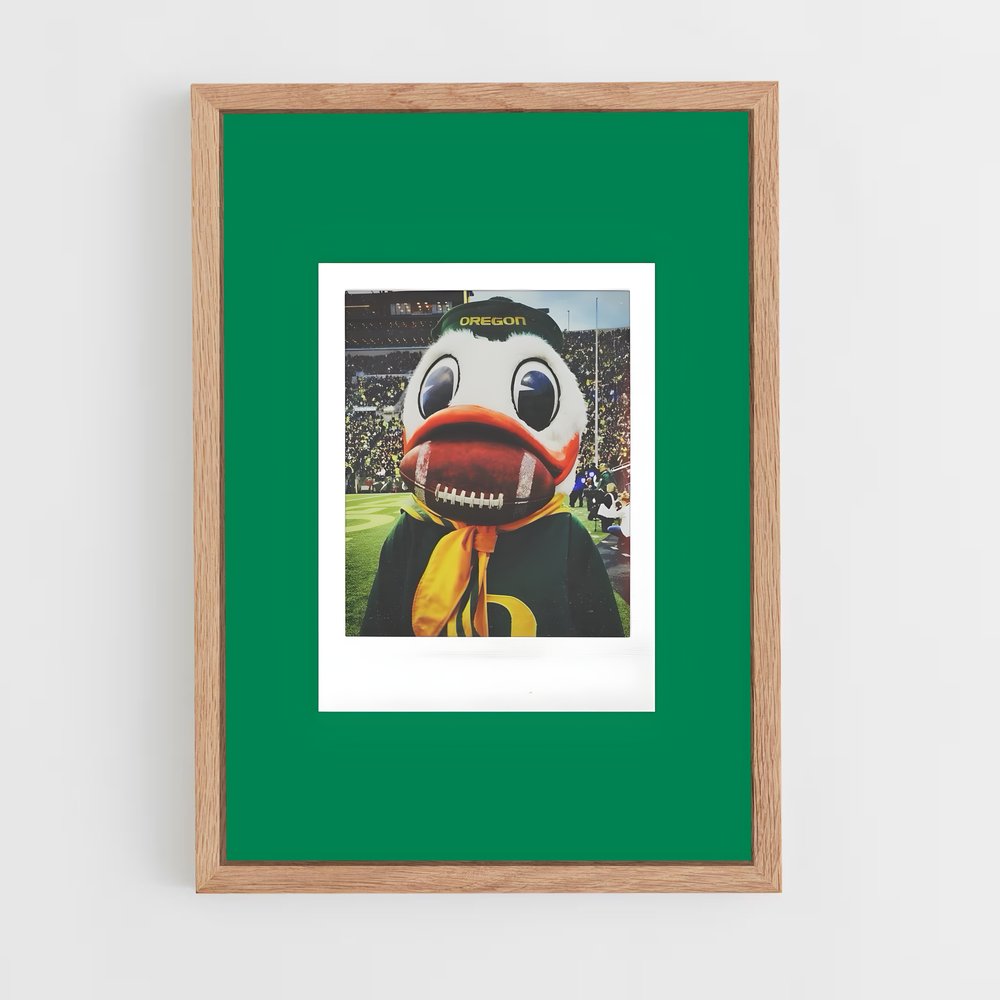 ap-oregon ducks-5 cadre Bois clair