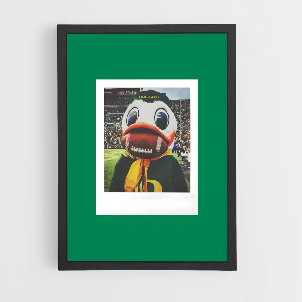 ap-oregon ducks-5 cadre Noir