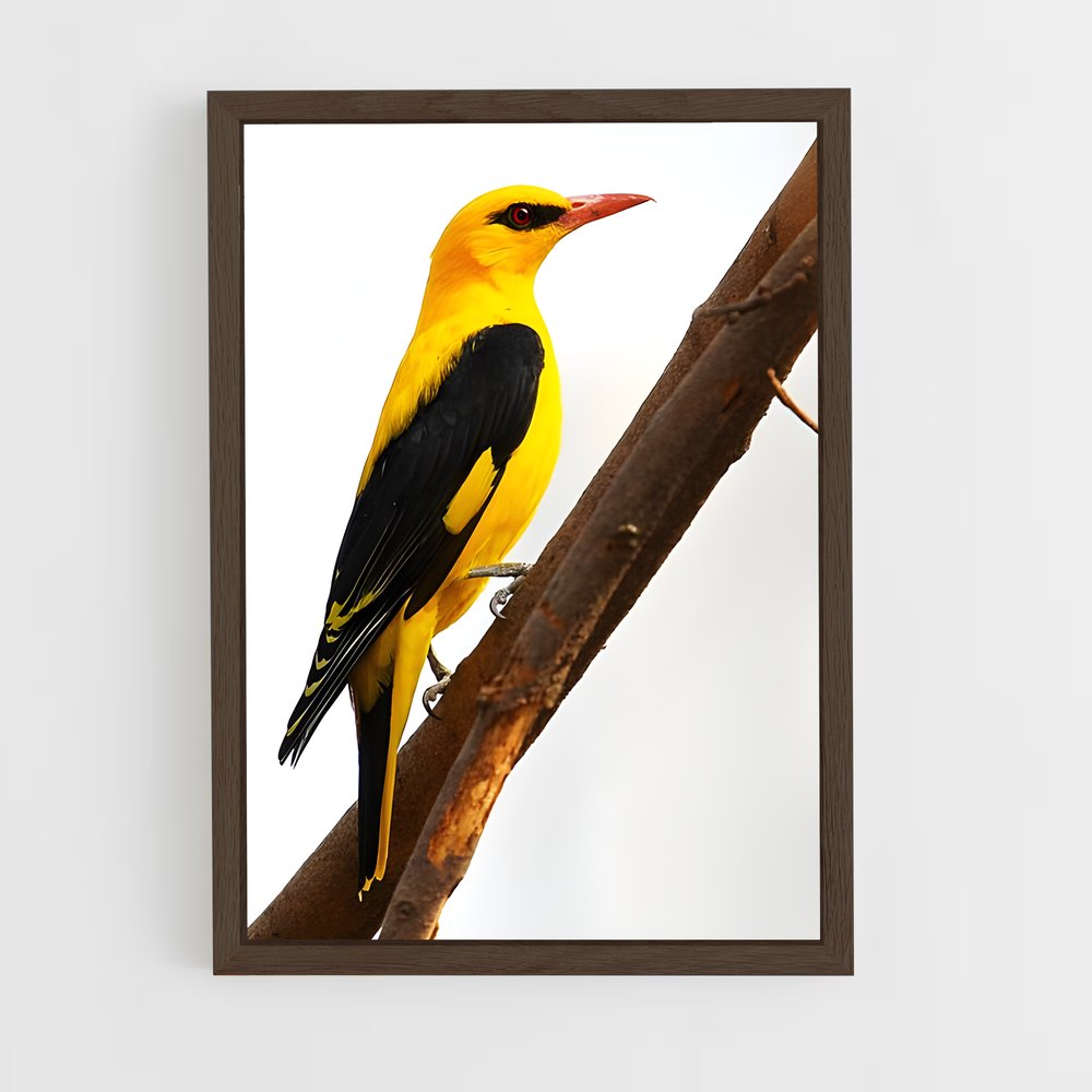 ap-oriole-4 cadre Bois foncé