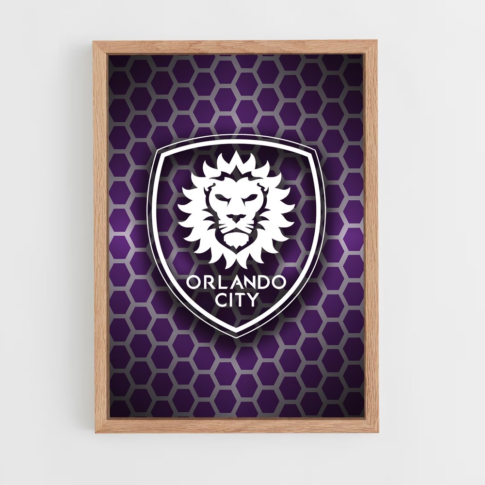 ap-orlando city sc-2 cadre Bois clair