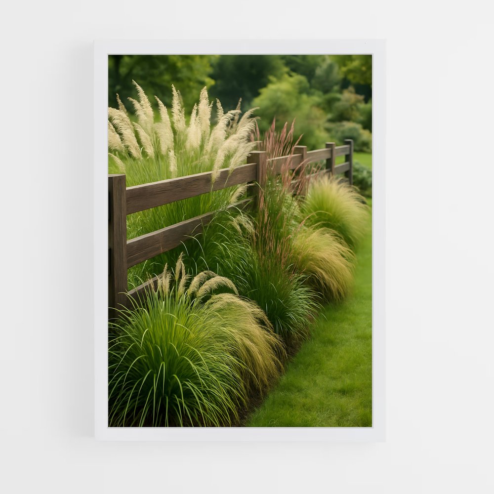ap-ornamental grass-2 cadre Blanc