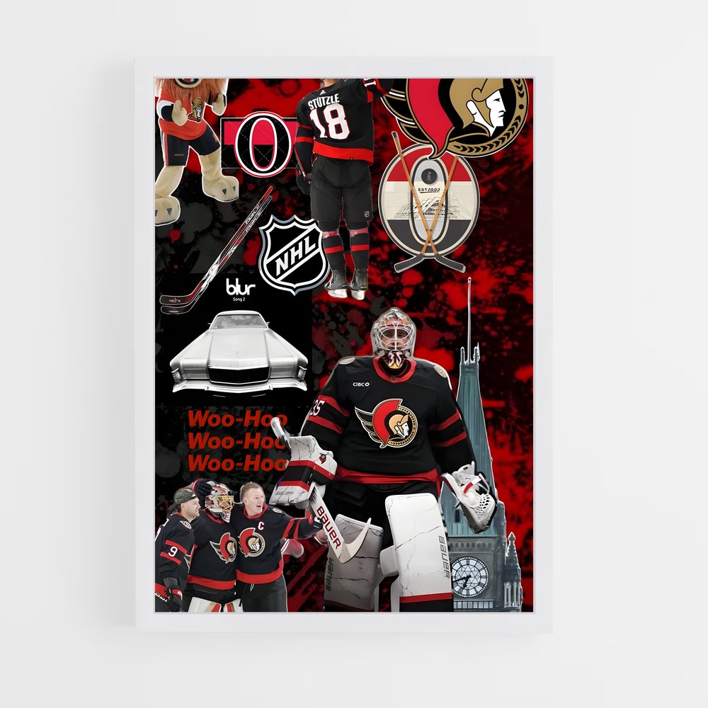 ap-ottawa senators-1 cadre Blanc