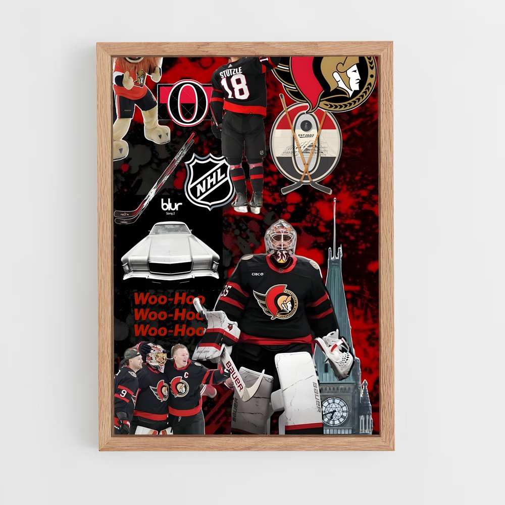 ap-ottawa senators-1 cadre Bois clair