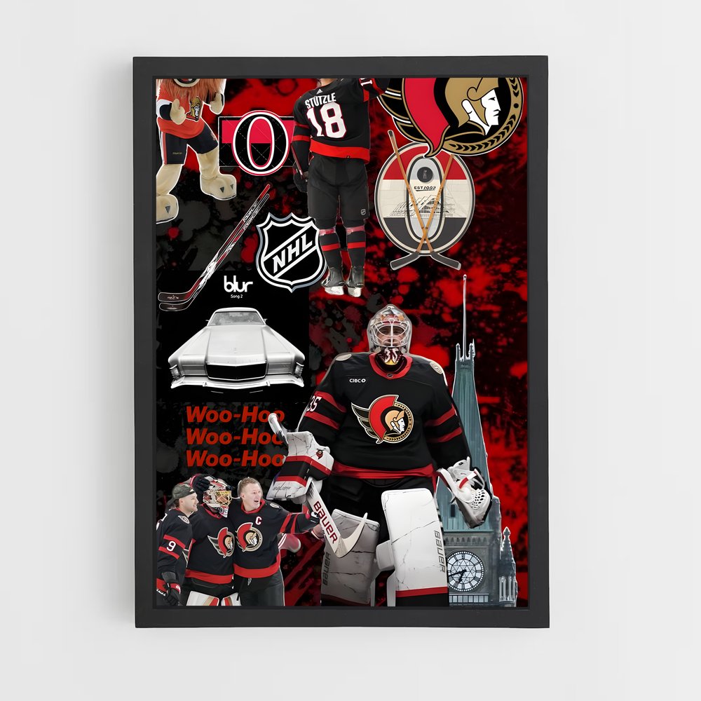 ap-ottawa senators-1 cadre Noir