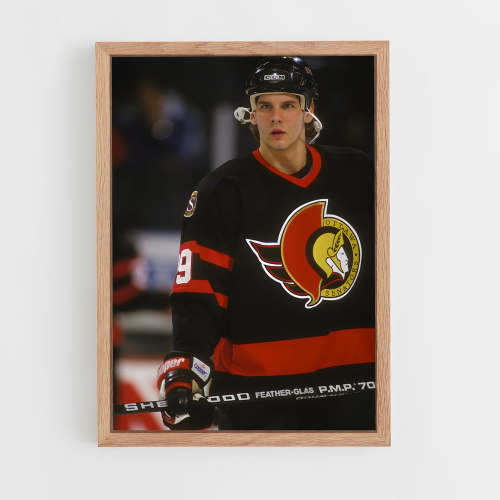 ap-ottawa senators-10 cadre Bois clair