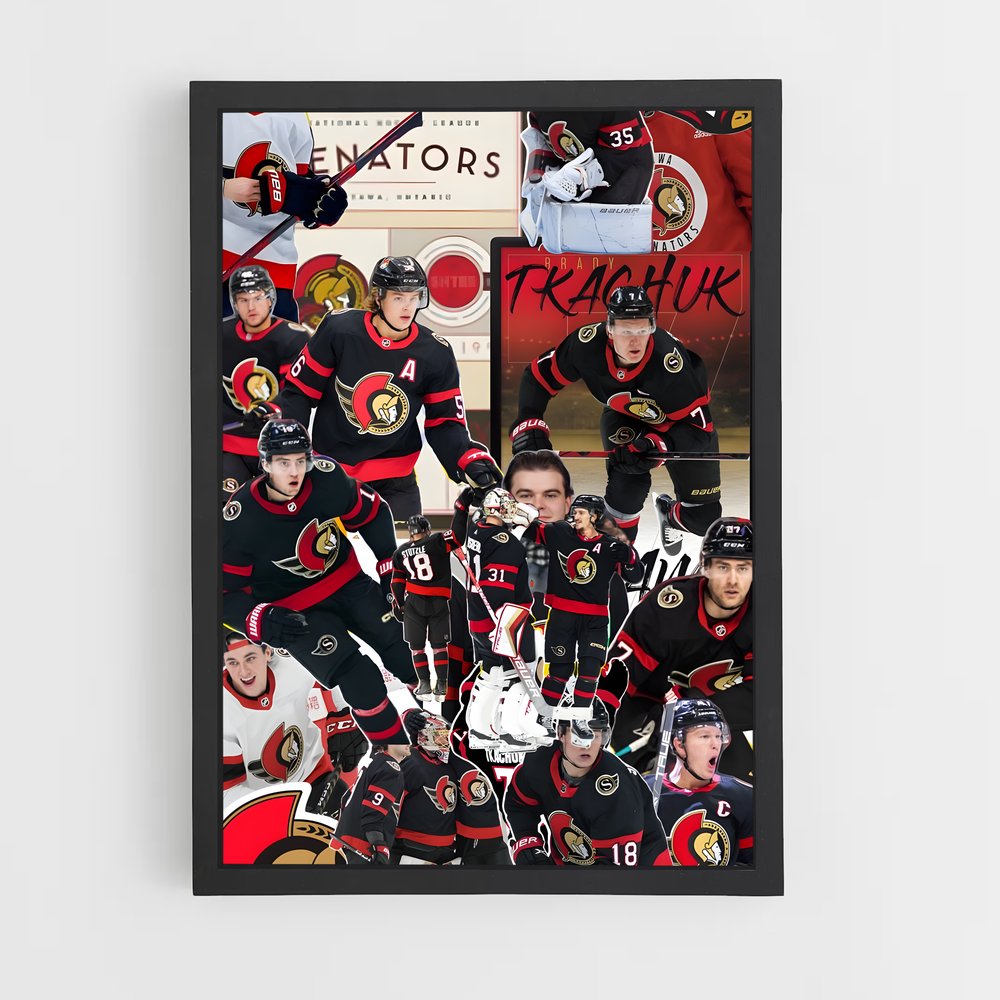 ap-ottawa senators-3 cadre Noir