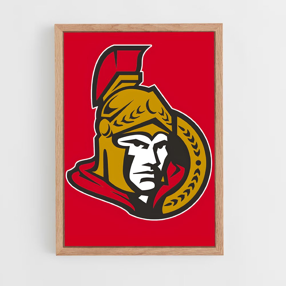 ap-ottawa senators-4 cadre Bois clair