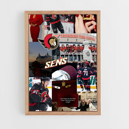 ap-ottawa senators-9 cadre Bois clair