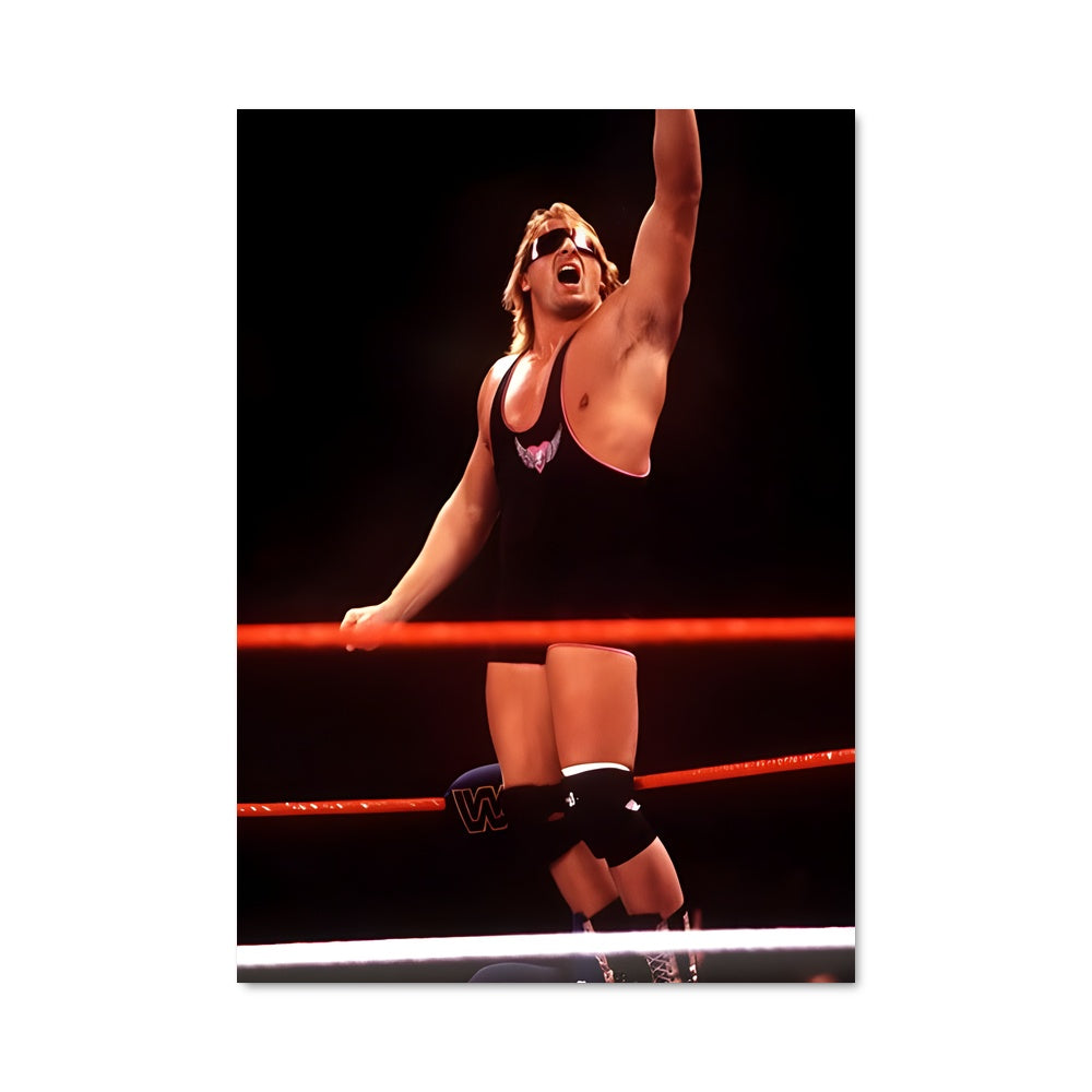 Poster Owen Hart: Champion éternel