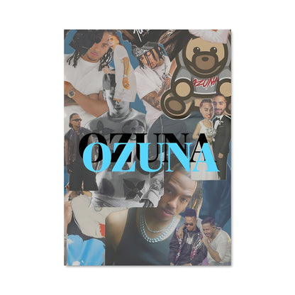 Poster Ozuna Vibes
