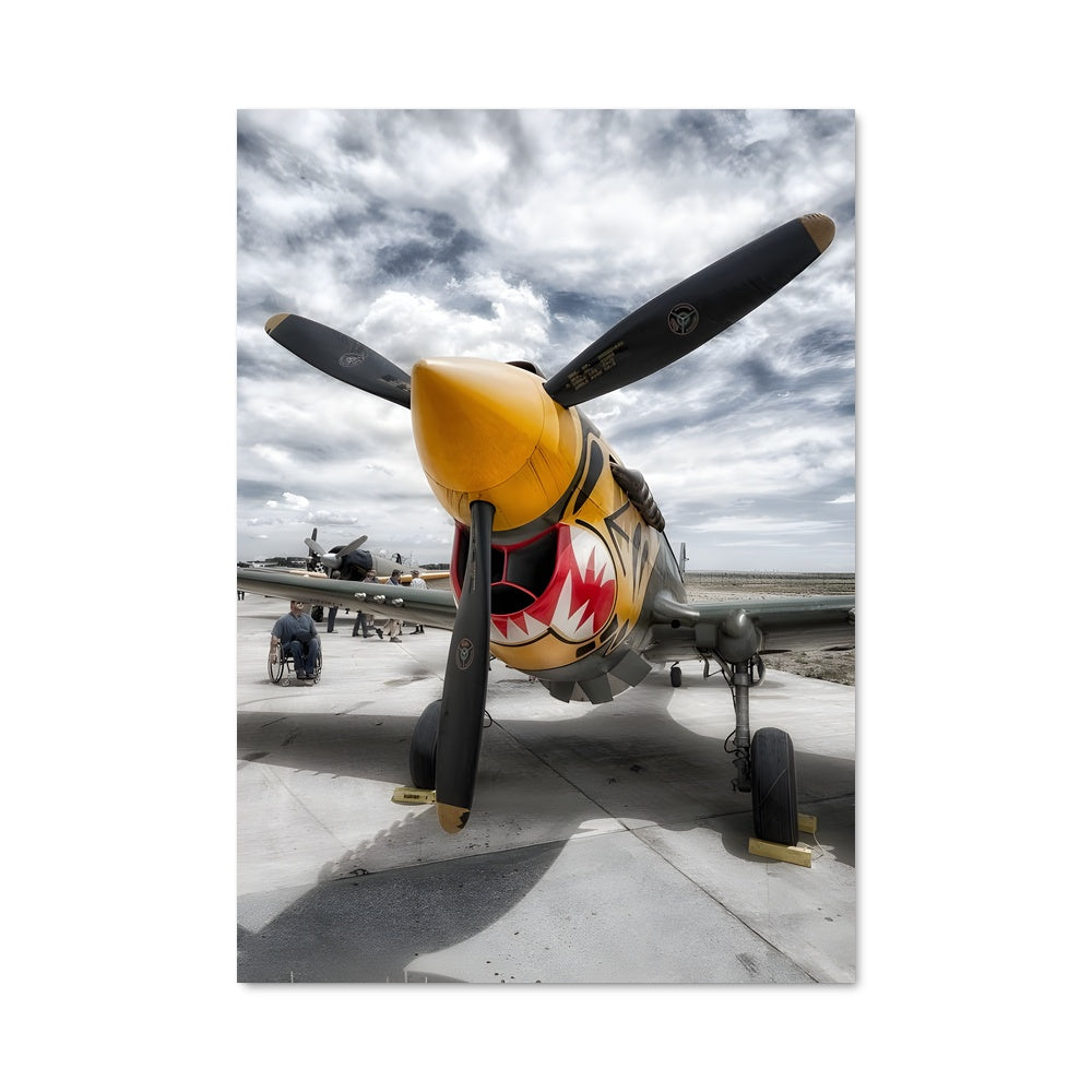 Poster P-40 en Vol