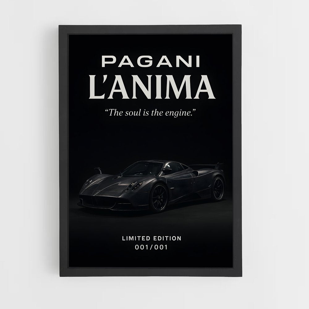 ap-pagani-11 cadre Noir