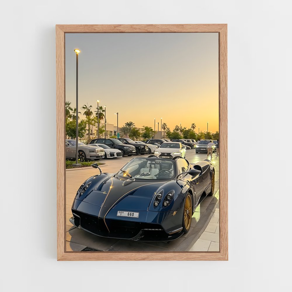 ap-pagani-2 cadre Bois clair