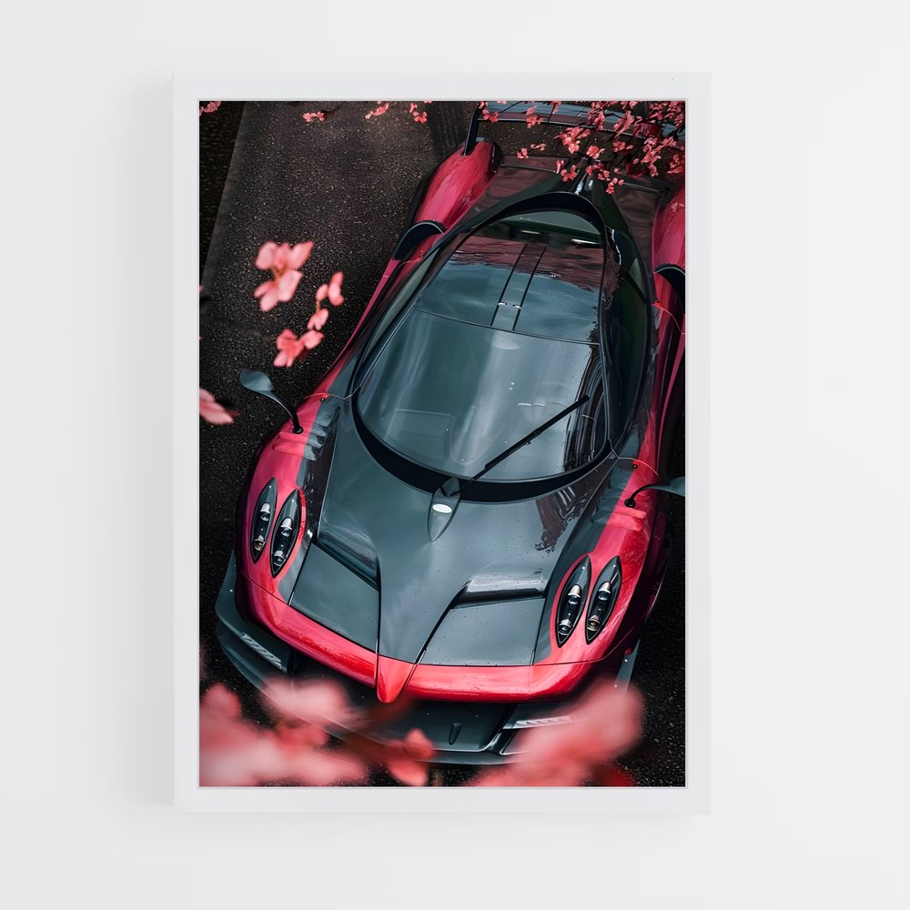 ap-pagani-9 cadre Blanc