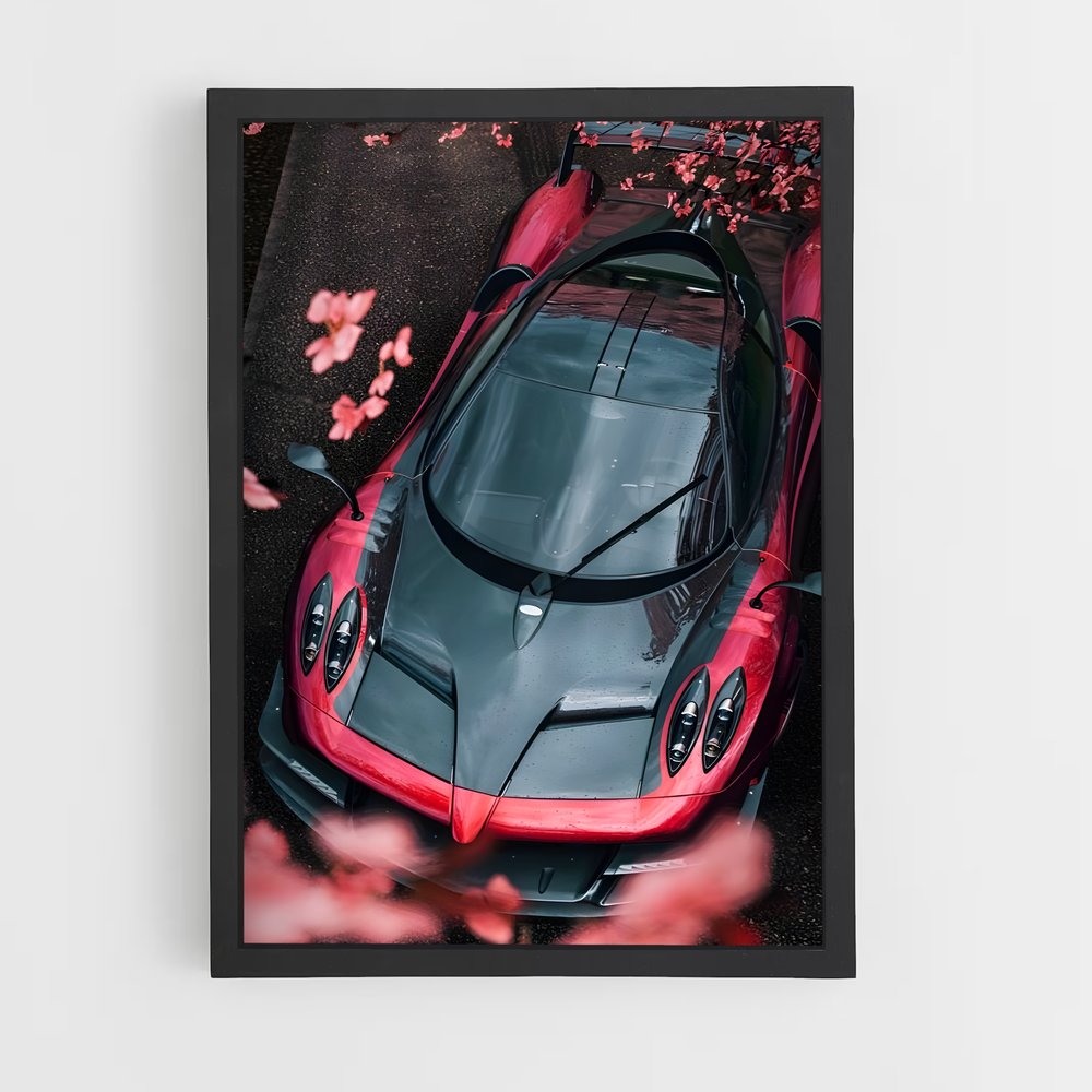 ap-pagani-9 cadre Noir