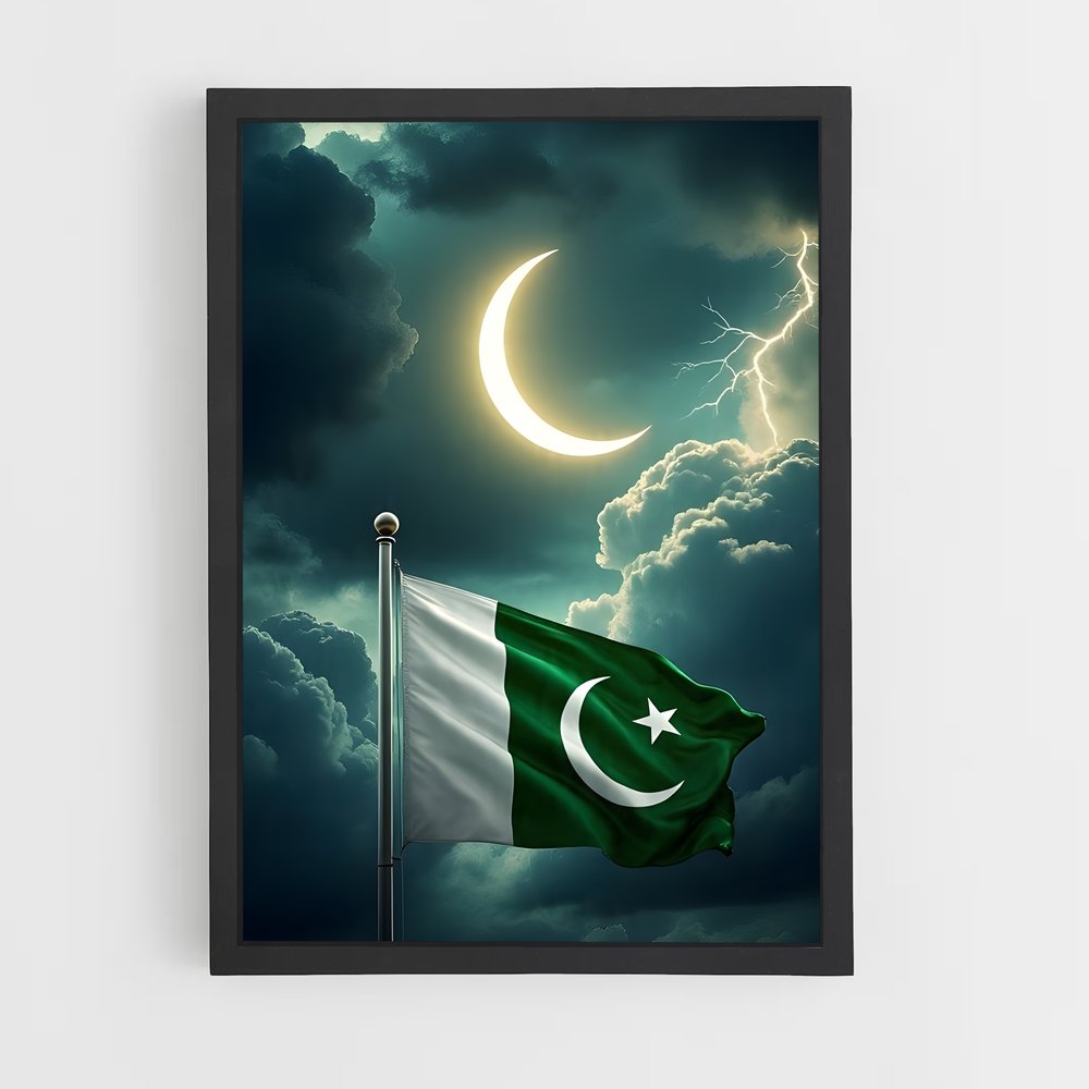 ap-pakistan flag-3 cadre Noir