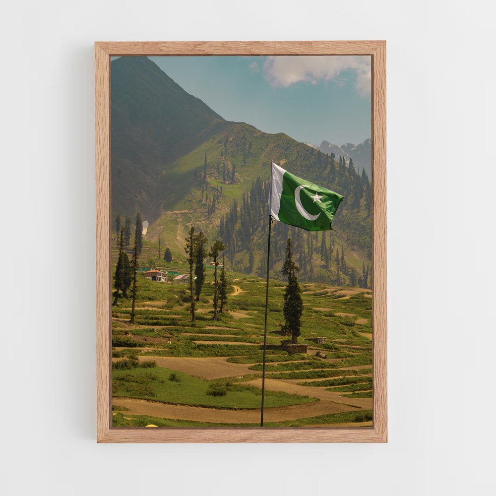 ap-pakistan flag-6 cadre Bois clair