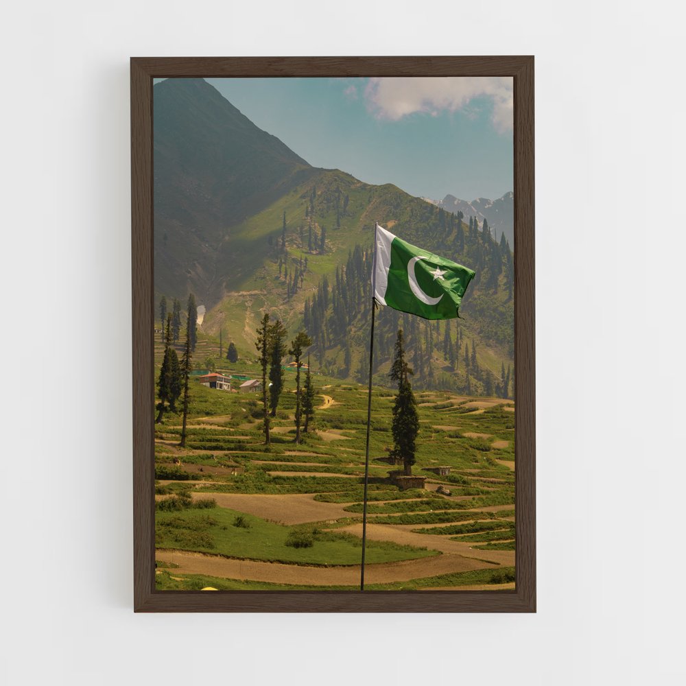 ap-pakistan flag-6 cadre Bois foncé
