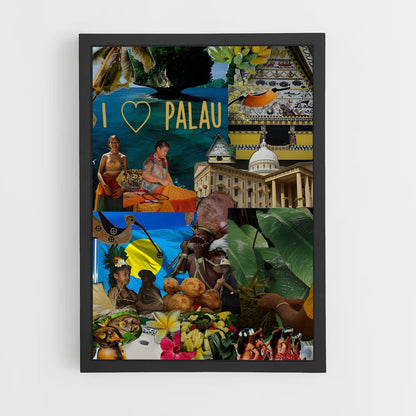ap-palau-4 cadre Noir