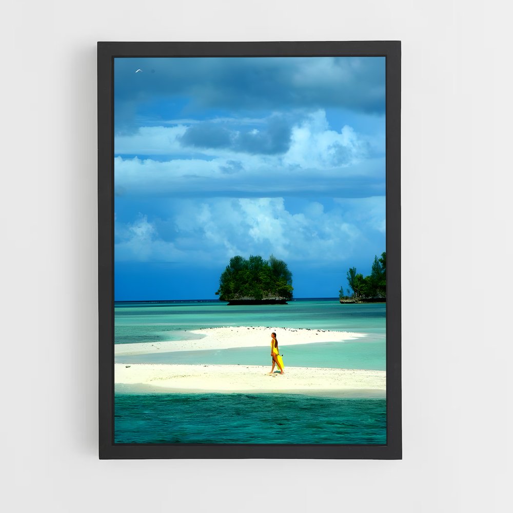 ap-palikir-4 cadre Noir