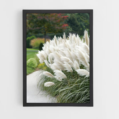 ap-pampas grass-2 cadre Noir