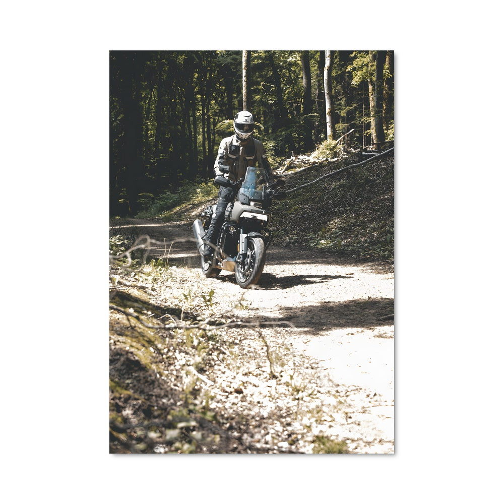 Poster Pan america 1250 82219