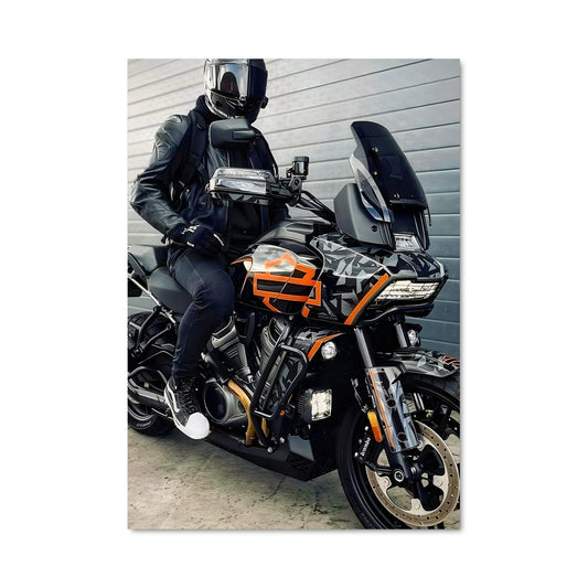 Poster Pan america 1250 82217