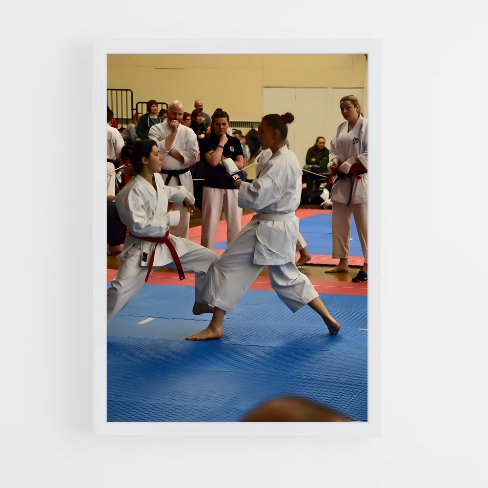 ap-pan american karate championships-2 cadre Blanc