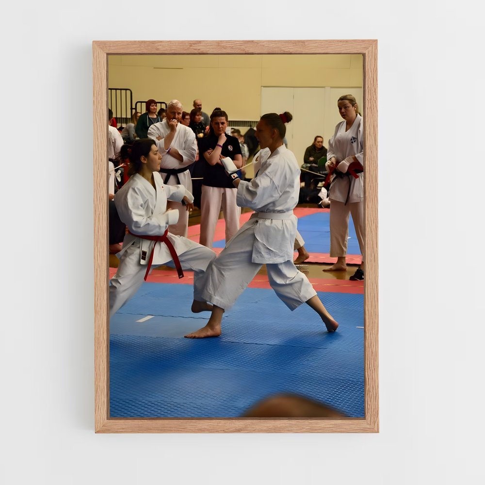 ap-pan american karate championships-2 cadre Bois clair
