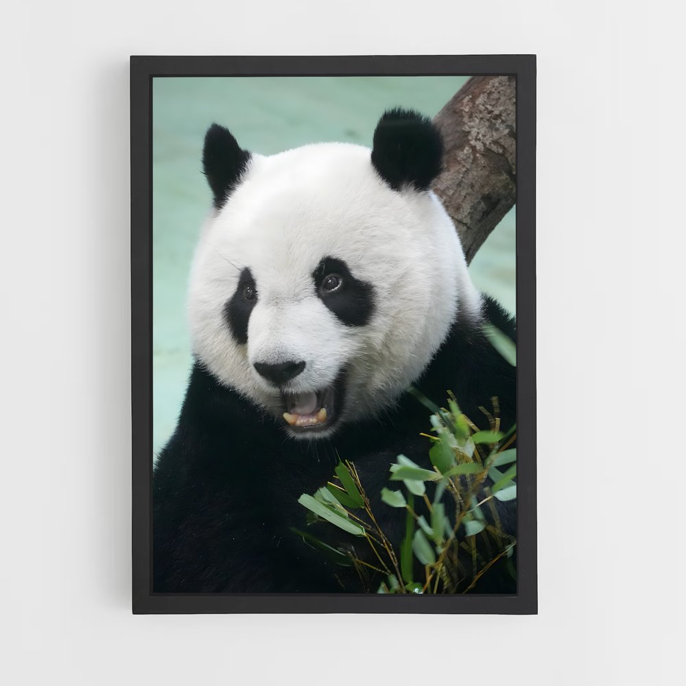 ap-panda-1 cadre Noir