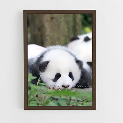 ap-panda-3 cadre Bois foncé