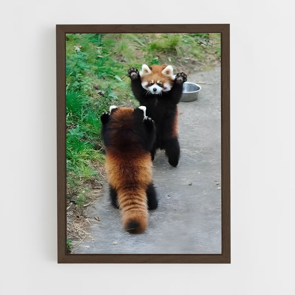 ap-panda-5 cadre Bois foncé