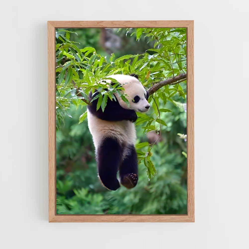 ap-panda-6 cadre Bois clair