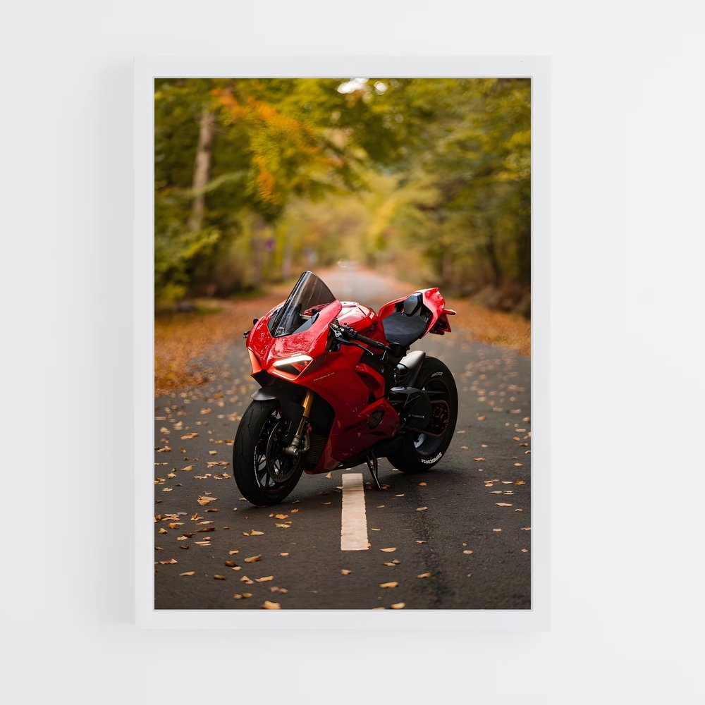 ap-panigale v4-2 cadre Blanc