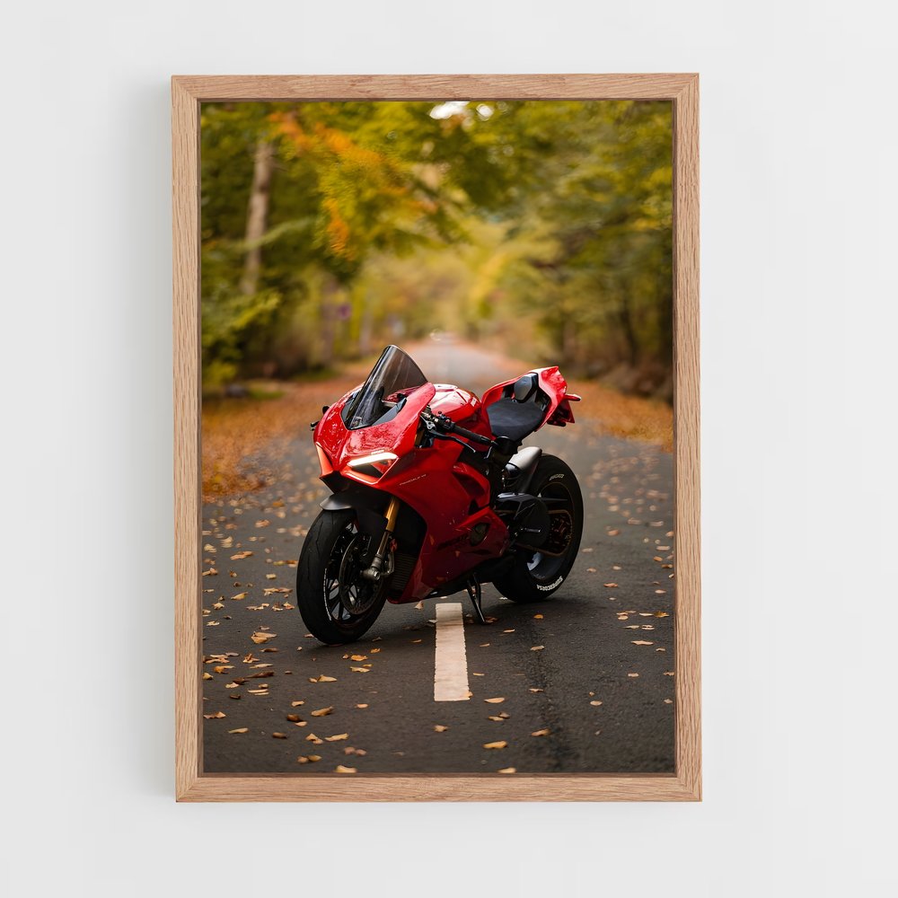 ap-panigale v4-2 cadre Bois clair