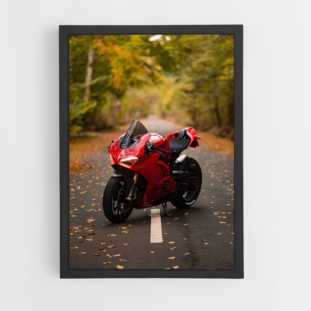 ap-panigale v4-2 cadre Noir
