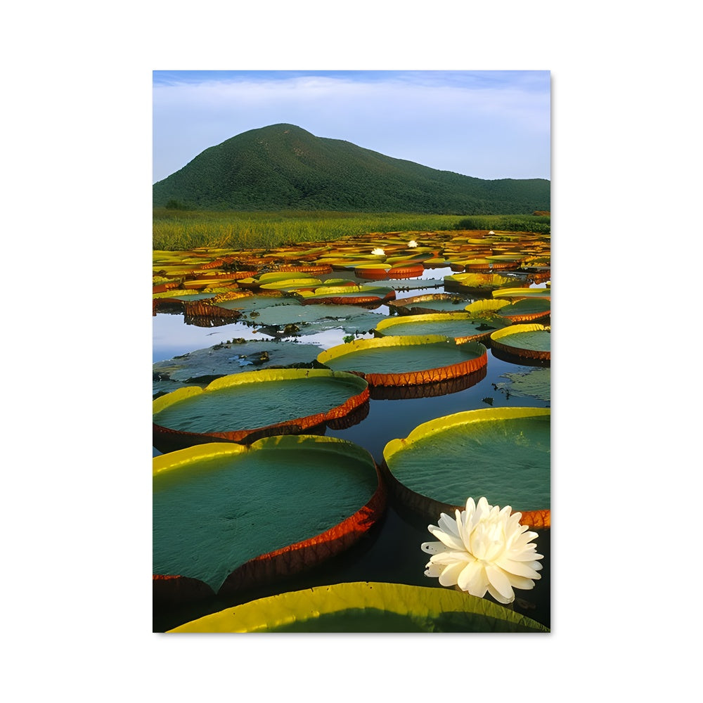 Poster Sérénité Lotus