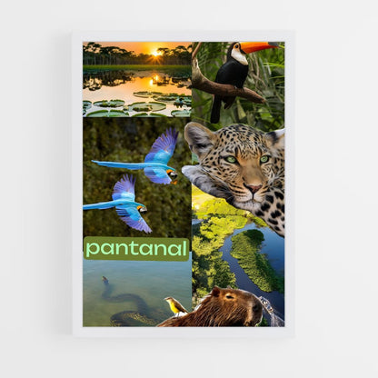 ap-pantanal-5 cadre Blanc