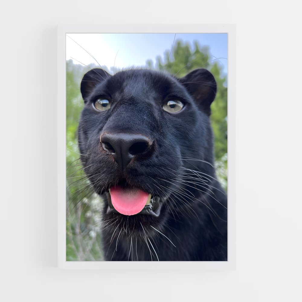 ap-panther-2 cadre Blanc