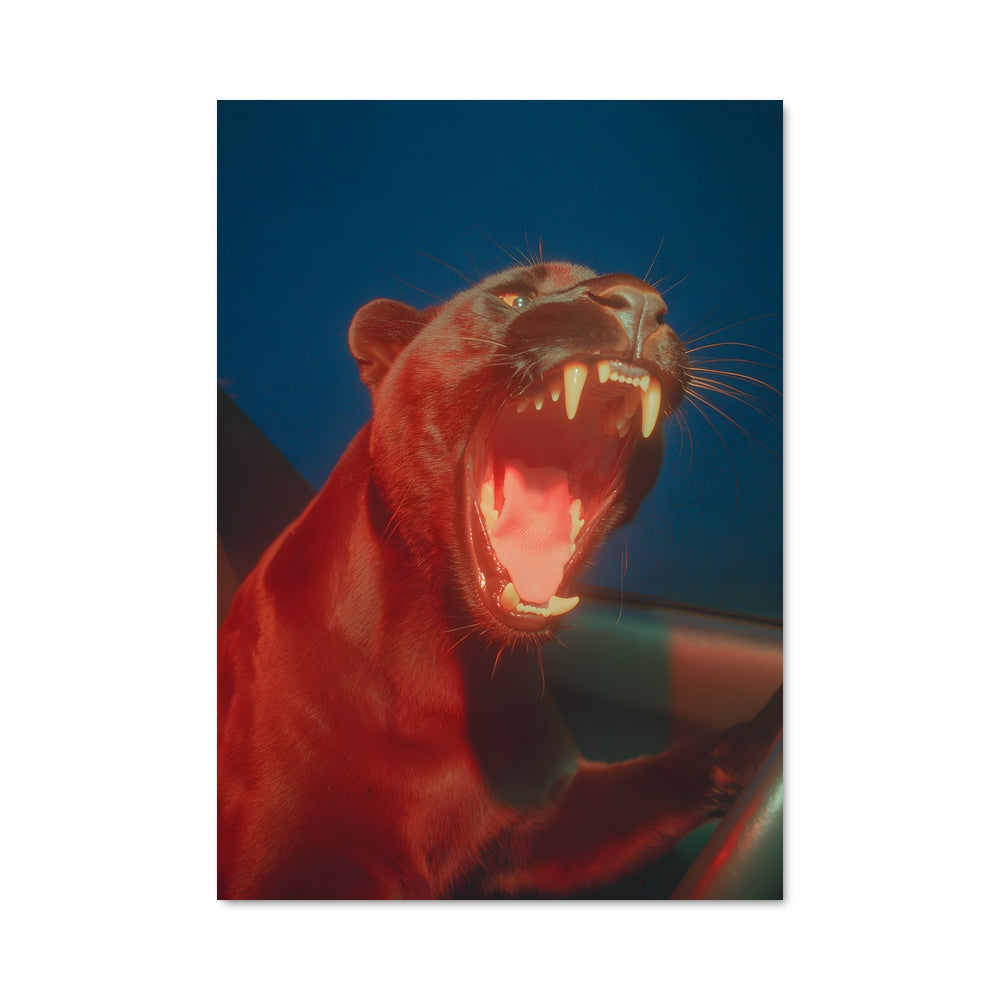 Poster Purrfectly Mad