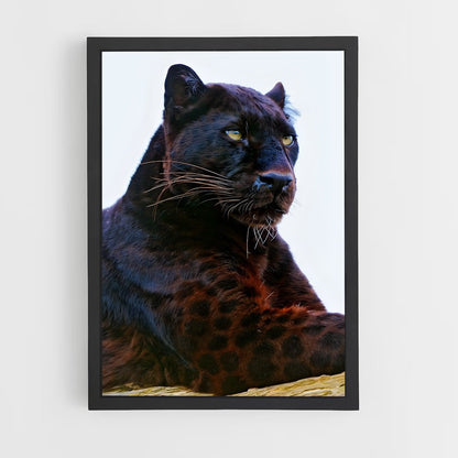 ap-panther-4 cadre Noir